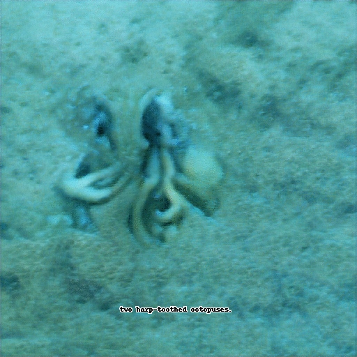 Big Sleep rendered octopus on ocean floor